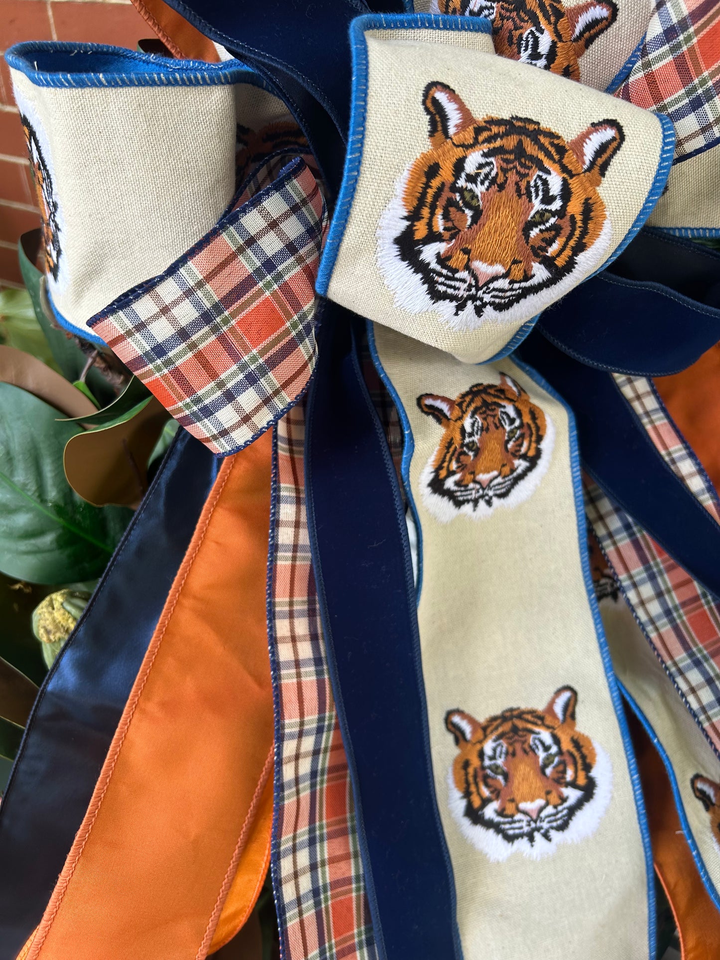 Auburn Collegiate Bow